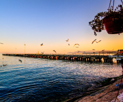 Tekirdağ.