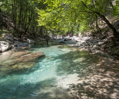 saf doğa