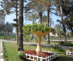 Egypt  - Alexandria