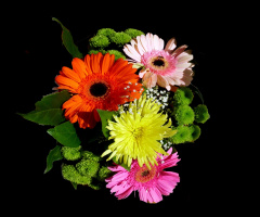 BLÜTEN