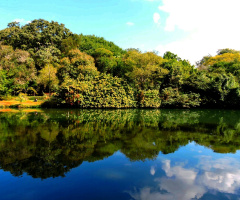 Reflexo