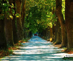 YOL(cuy)UZ HEPİMİZ