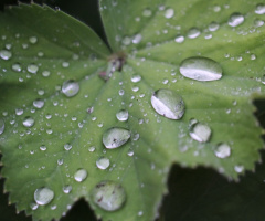 On a rainy day