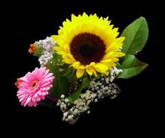 BLÜTEN