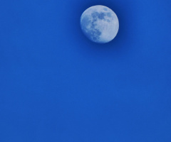 Mond