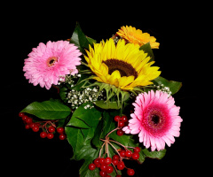 BLÜTEN