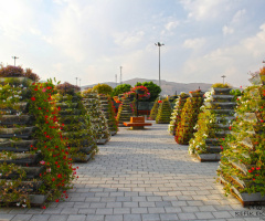 Çiçek Bahçesi Konya / 2017