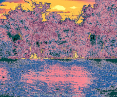 An Arizona Infrared Evening
