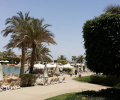 Egypt  - Alain Alsokhna