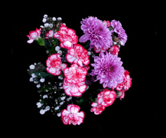 BLÜTEN