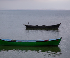 Kuş Cenneti Sandallar7 - Bandırma Kuş Cenneti