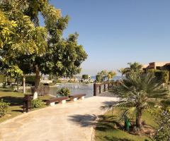 Egypt  - Alain Alsokhna
