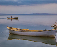 Kayıklar - Bandırma Kuş Cenneti