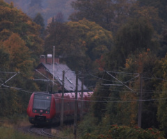 Sourrounded by Autumn
