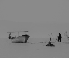 Foto Avı
