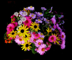 BLÜTEN