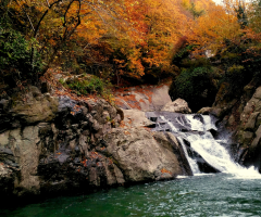 Akçaova ırmağında sonbahar