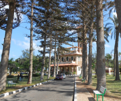 Egypt  - Alexandria - Almontazah palace 