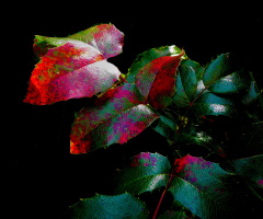 HERBST