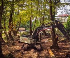 İnsanın Doğası