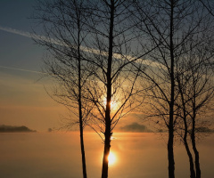 Foggy morning