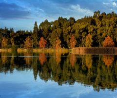 Seyhan River