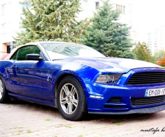 Miniciks Hayatlar  MUSTANG 