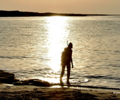 the sun & the blue snorkel