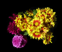 BLÜTEN