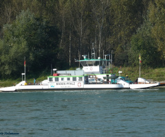 Rheinfähre