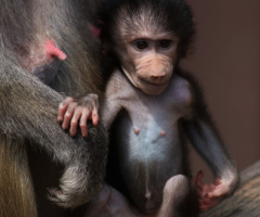 Safe with Mom