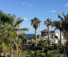 Egypt  - Alexandria - Almontazah 