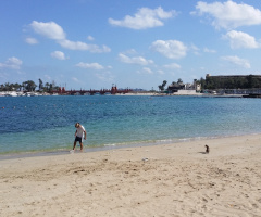 Egypt  - Alexandria - Almontazah 