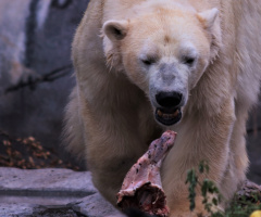 Dinner time ....