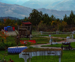 Soğukpınar /Osmanğazi /Bursa ' dan Kesit