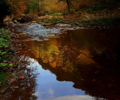 Sonbahar,ırmak,yansıma