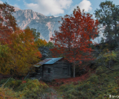 Pozantı Belemedik ( yağlı boya efekti )