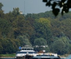 Auf dem Rhein 