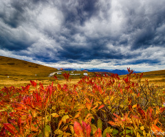 YAYLA