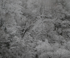 Natural monochrome
