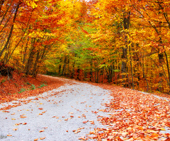 Önümde Senli Bir Geleceğe Giden Bir Yol..