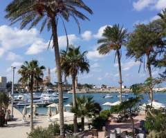 Egypt  - Alexandria - Almontazah 