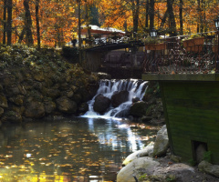 naturköy-sakarya