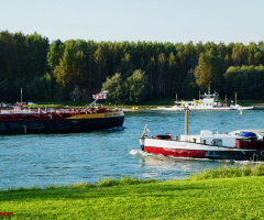 Auf dem Rhein