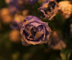 Close up...