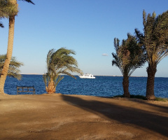 Egypt - Hurghada 