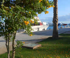 Egypt  - Hurghada