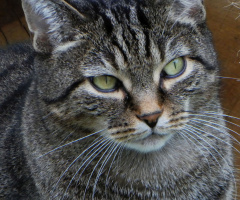 Dieser Blick ...