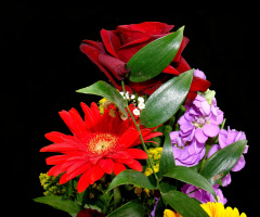 BLÜTEN