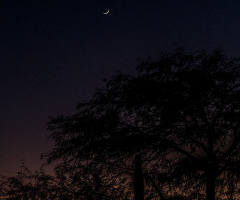 The Moon Chasing The Sun Over Tucson Arizona